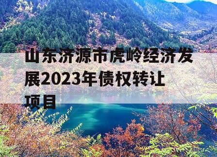 山东济源市虎岭经济发展2023年债权转让项目