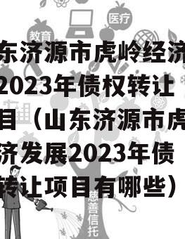 山东济源市虎岭经济发展2023年债权转让项目（山东济源市虎岭经济发展2023年债权转让项目有哪些）