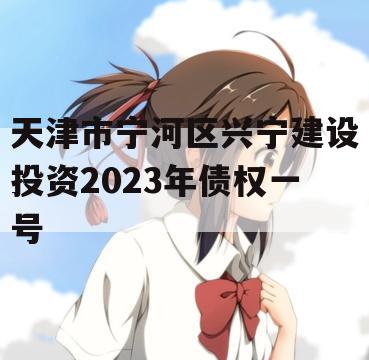 天津市宁河区兴宁建设投资2023年债权一号