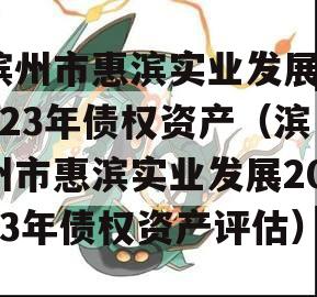 滨州市惠滨实业发展2023年债权资产（滨州市惠滨实业发展2023年债权资产评估）