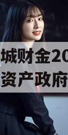 山东诸城财金2023年债权资产政府债定融