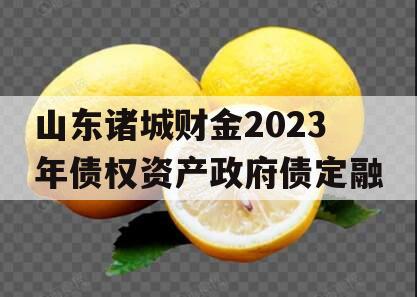 山东诸城财金2023年债权资产政府债定融