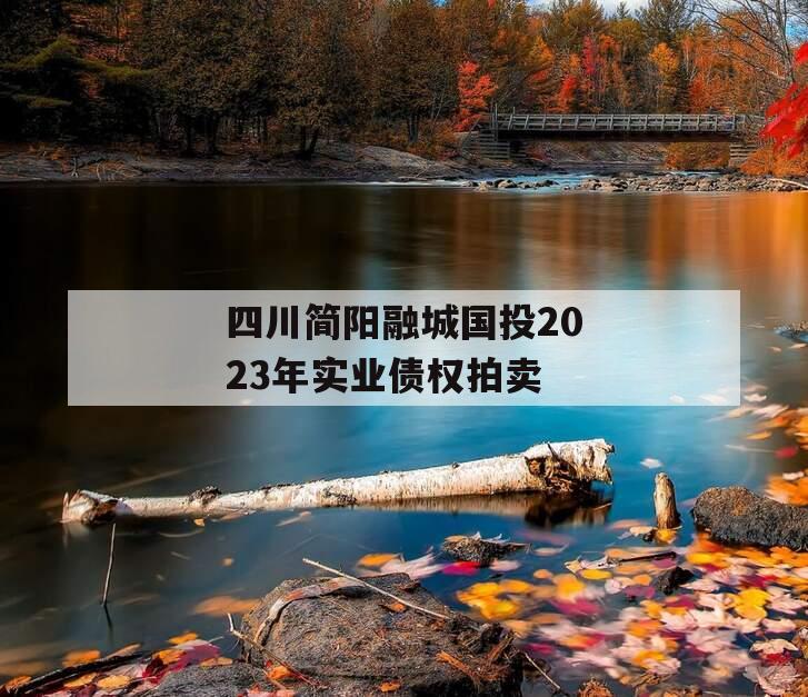 四川简阳融城国投2023年实业债权拍卖