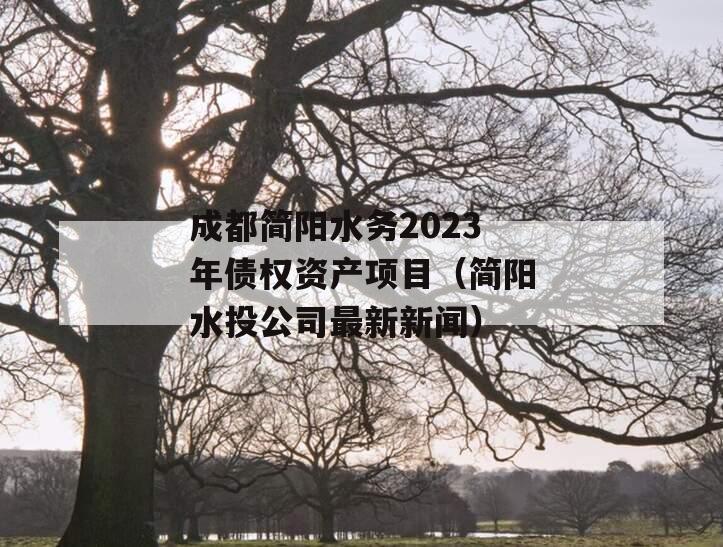 成都简阳水务2023年债权资产项目（简阳水投公司最新新闻）