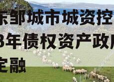 山东邹城市城资控股2023年债权资产政府债定融