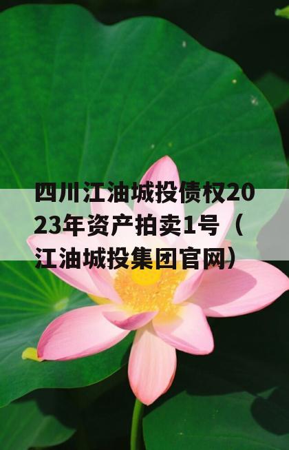 四川江油城投债权2023年资产拍卖1号（江油城投集团官网）