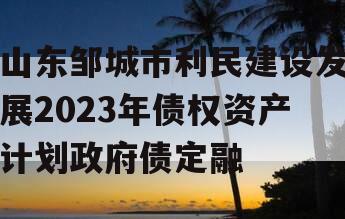 山东邹城市利民建设发展2023年债权资产计划政府债定融