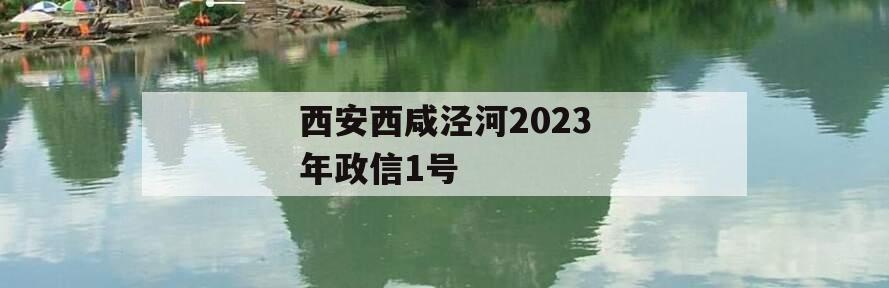 西安西咸泾河2023年政信1号