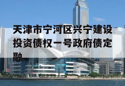 天津市宁河区兴宁建设投资债权一号政府债定融