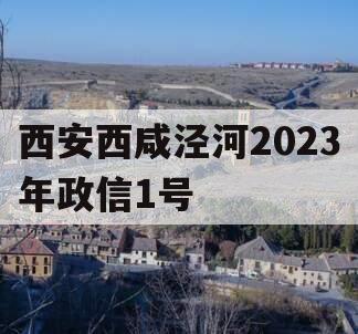 西安西咸泾河2023年政信1号