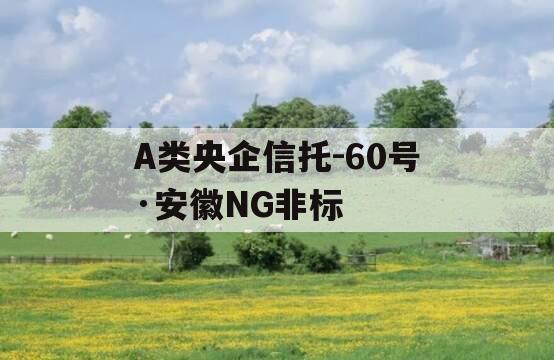 A类央企信托-60号·安徽NG非标