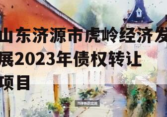 山东济源市虎岭经济发展2023年债权转让项目