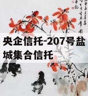 央企信托-207号盐城集合信托