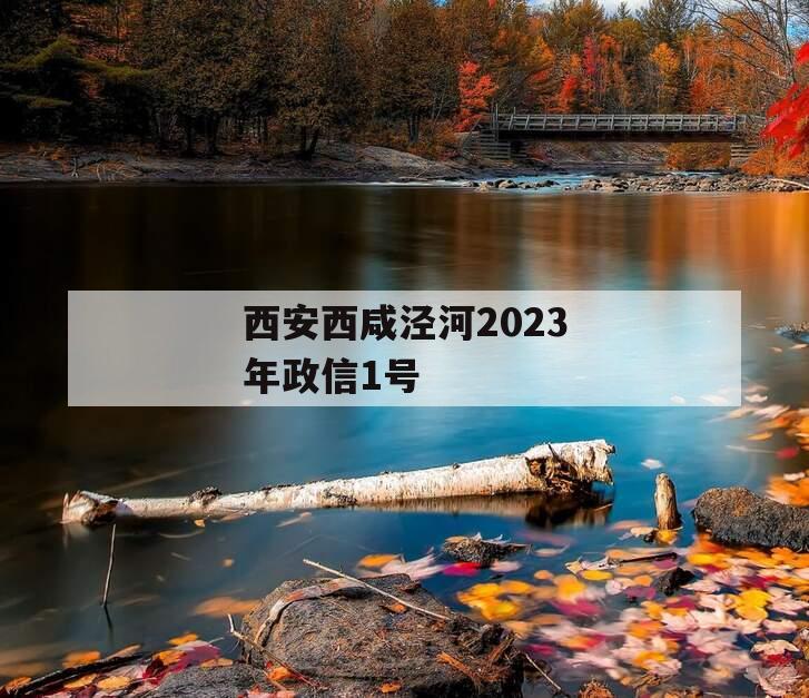 西安西咸泾河2023年政信1号