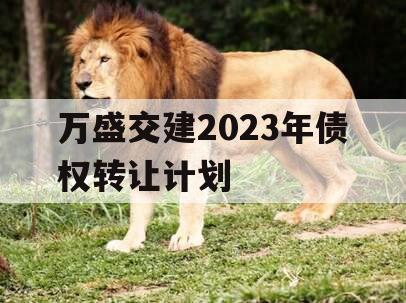 万盛交建2023年债权转让计划