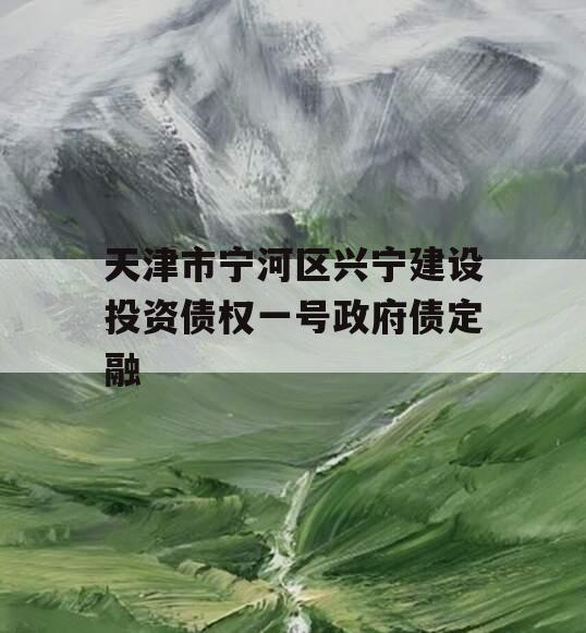 天津市宁河区兴宁建设投资债权一号政府债定融