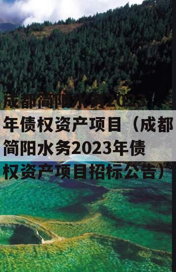 成都简阳水务2023年债权资产项目（成都简阳水务2023年债权资产项目招标公告）