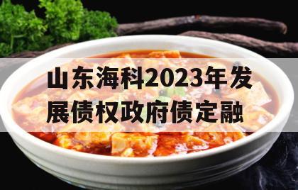 山东海科2023年发展债权政府债定融