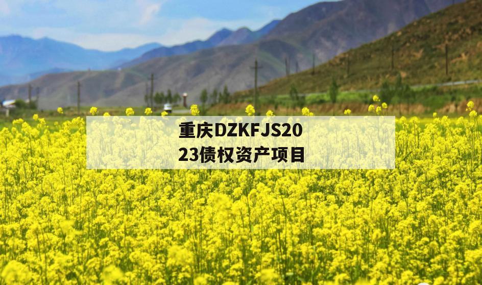 重庆DZKFJS2023债权资产项目