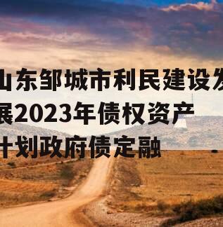 山东邹城市利民建设发展2023年债权资产计划政府债定融