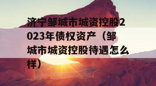 济宁邹城市城资控股2023年债权资产（邹城市城资控股待遇怎么样）