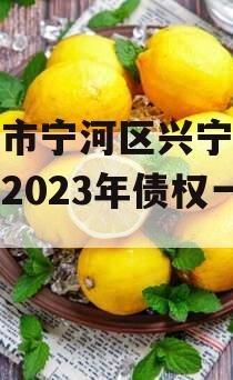 天津市宁河区兴宁建设投资2023年债权一号