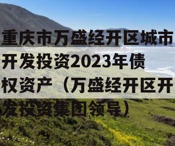 重庆市万盛经开区城市开发投资2023年债权资产（万盛经开区开发投资集团领导）