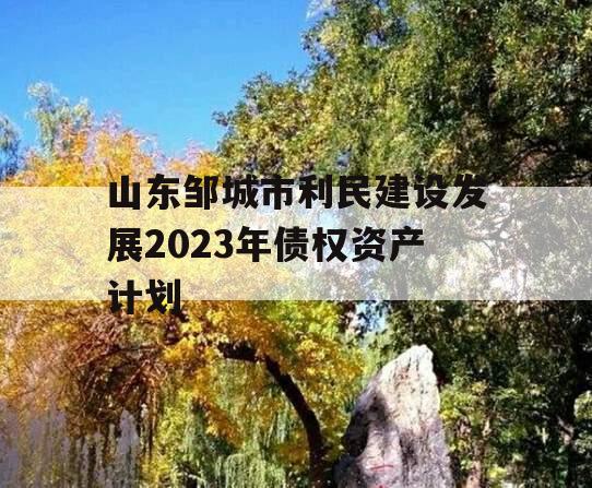 山东邹城市利民建设发展2023年债权资产计划