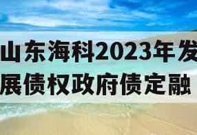 山东海科2023年发展债权政府债定融