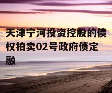 天津宁河投资控股的债权拍卖02号政府债定融