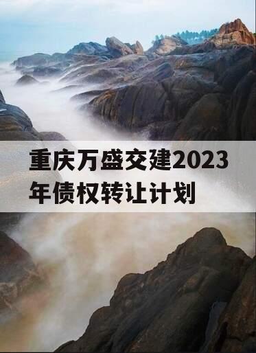 重庆万盛交建2023年债权转让计划