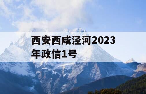 西安西咸泾河2023年政信1号