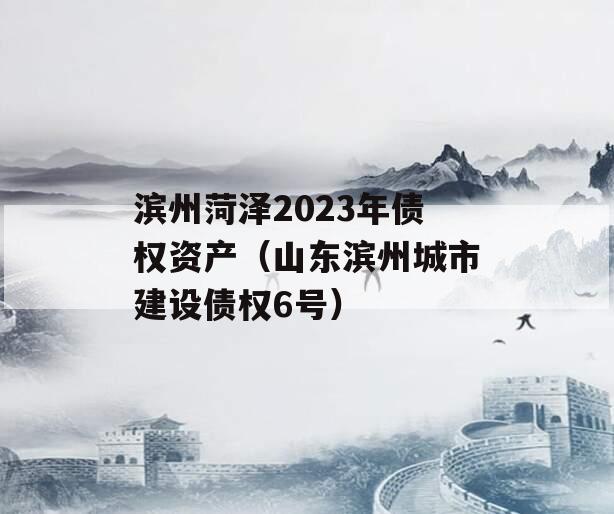 滨州菏泽2023年债权资产（山东滨州城市建设债权6号）