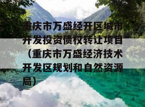 重庆市万盛经开区城市开发投资债权转让项目（重庆市万盛经济技术开发区规划和自然资源局）