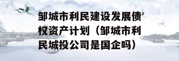 邹城市利民建设发展债权资产计划（邹城市利民城投公司是国企吗）