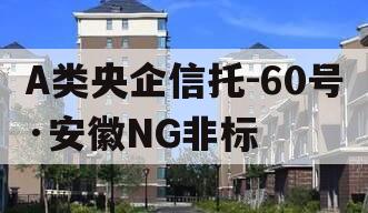 A类央企信托-60号·安徽NG非标