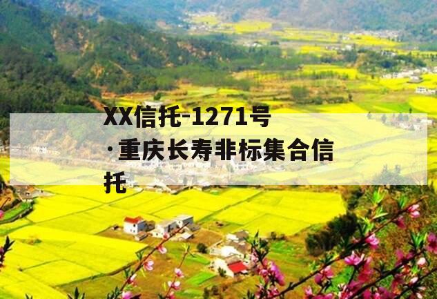 XX信托-1271号·重庆长寿非标集合信托