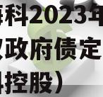 山东海科2023年发展债权政府债定融（山东海科控股）