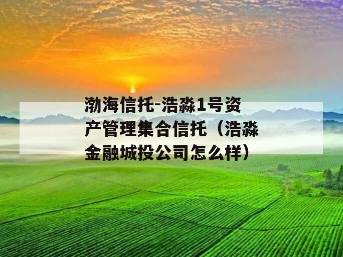 渤海信托-浩淼1号资产管理集合信托（浩淼金融城投公司怎么样）