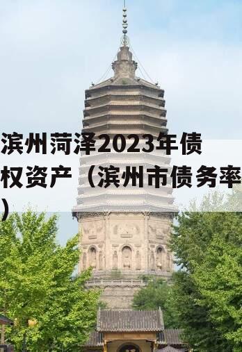 滨州菏泽2023年债权资产（滨州市债务率）