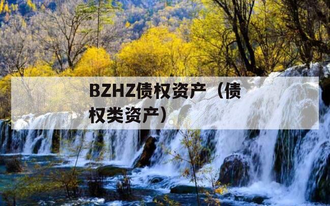 BZHZ债权资产（债权类资产）