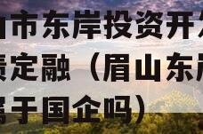 眉山市东岸投资开发政府债定融（眉山东岸投资属于国企吗）