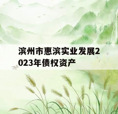 滨州市惠滨实业发展2023年债权资产