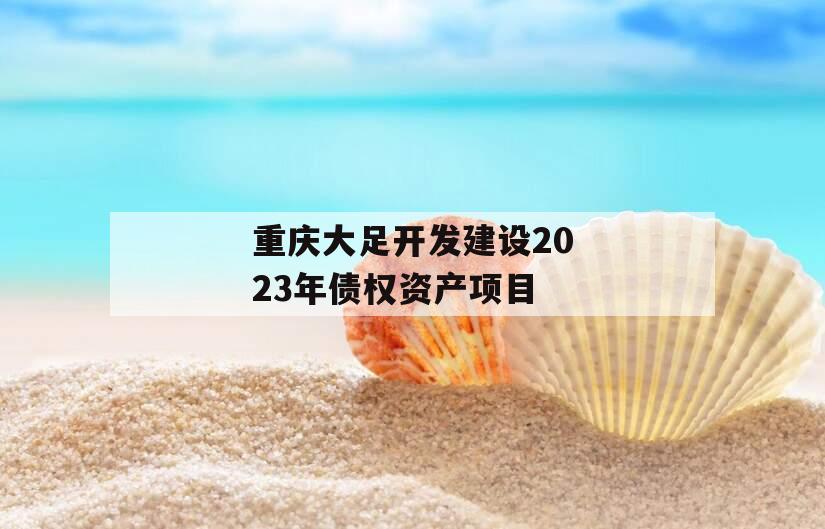 重庆大足开发建设2023年债权资产项目