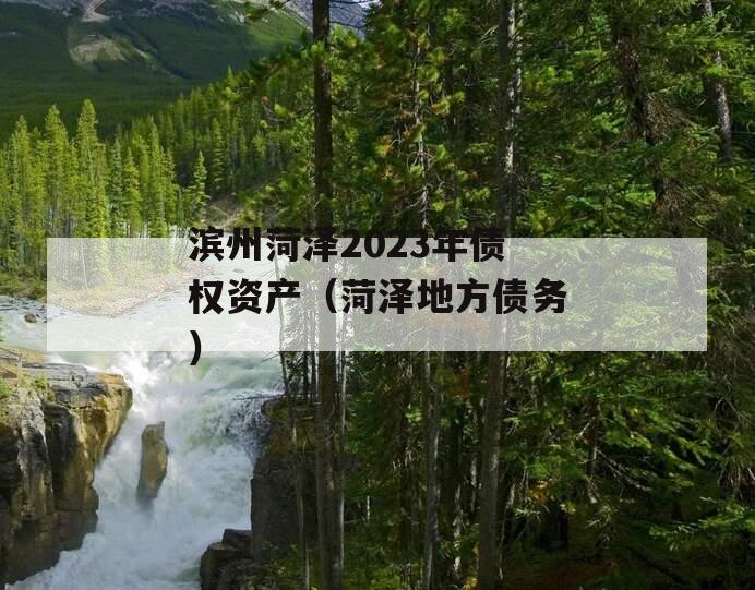 滨州菏泽2023年债权资产（菏泽地方债务）