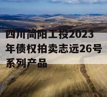 四川简阳工投2023年债权拍卖志远26号系列产品