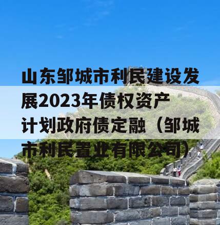 山东邹城市利民建设发展2023年债权资产计划政府债定融（邹城市利民置业有限公司）