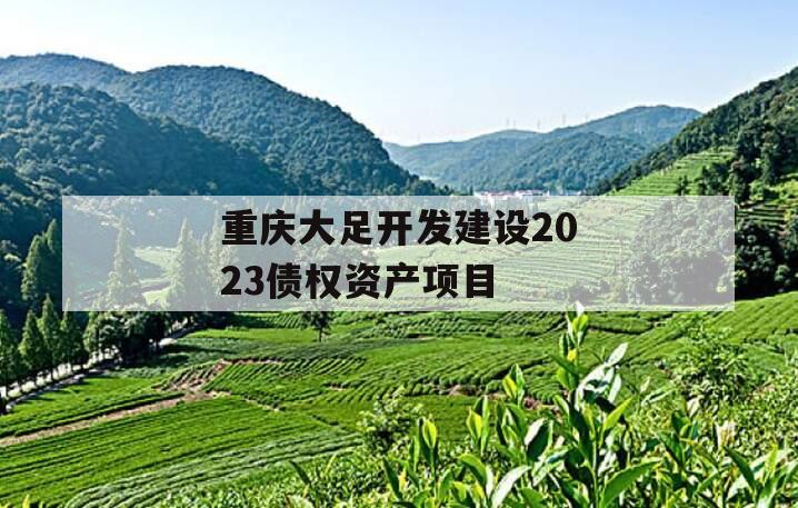 重庆大足开发建设2023债权资产项目