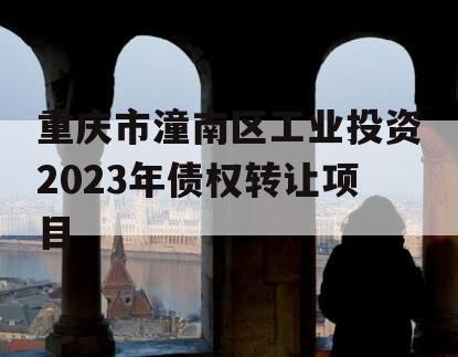 重庆市潼南区工业投资2023年债权转让项目