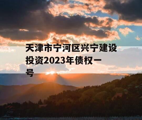 天津市宁河区兴宁建设投资2023年债权一号